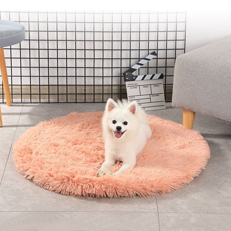 Pat and Pet Emporium | Pet Beds | Round Dog Bed