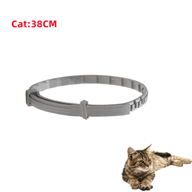 Pat and Pet Emporium | Pet Collars | Dog Cat Anti-Flea Pet Collar