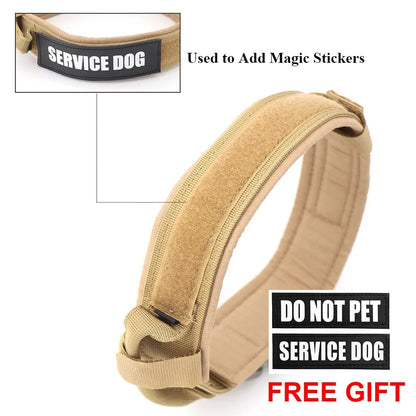 Pat and Pet Emporium | Pet Collars | Dog Collar