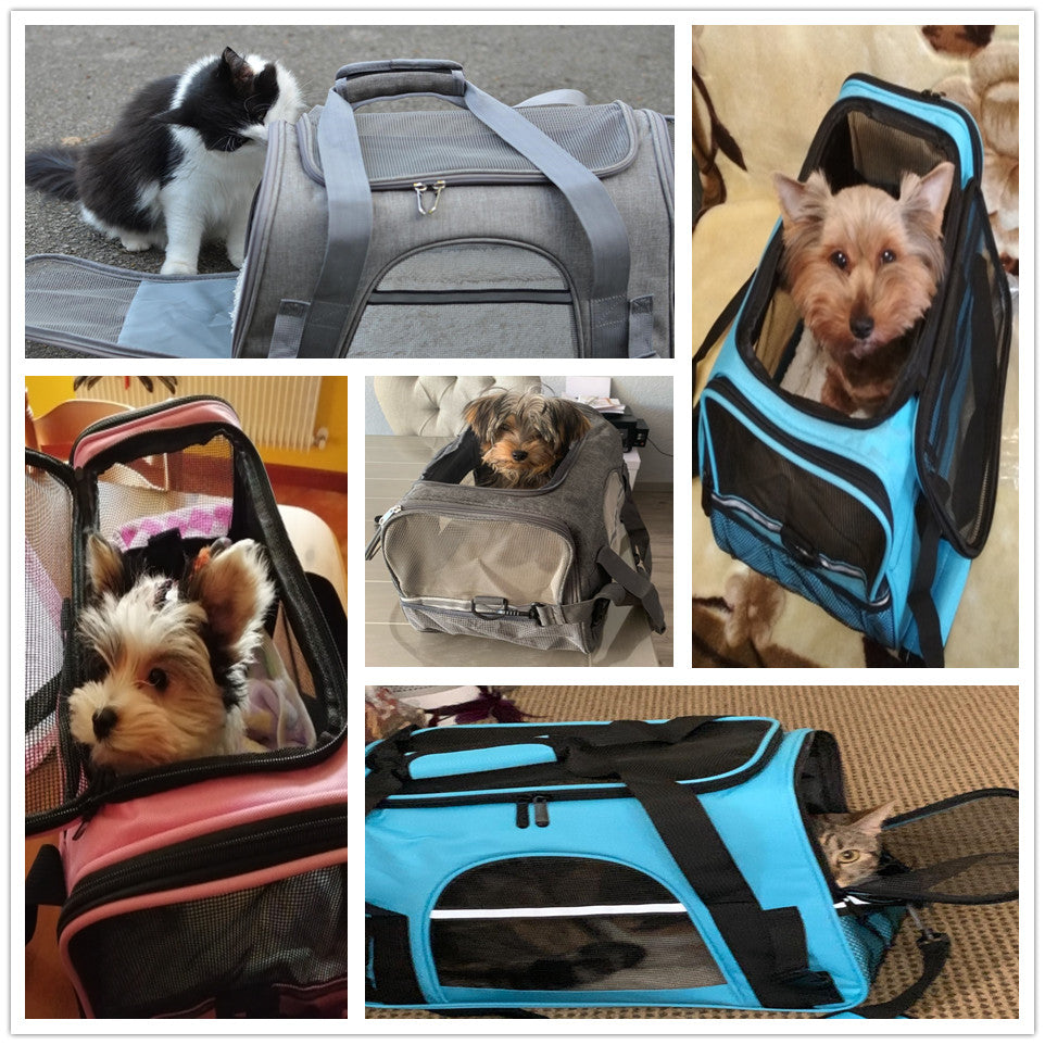 Pat and Pet Emporium | Pet Carriers | Pet Fun Travel Bag Carrier