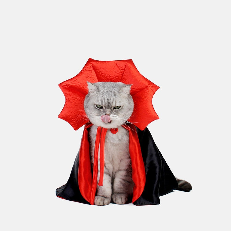 Pat and Pet Emporium | Pet Costumes | Vampire Cloak Costume