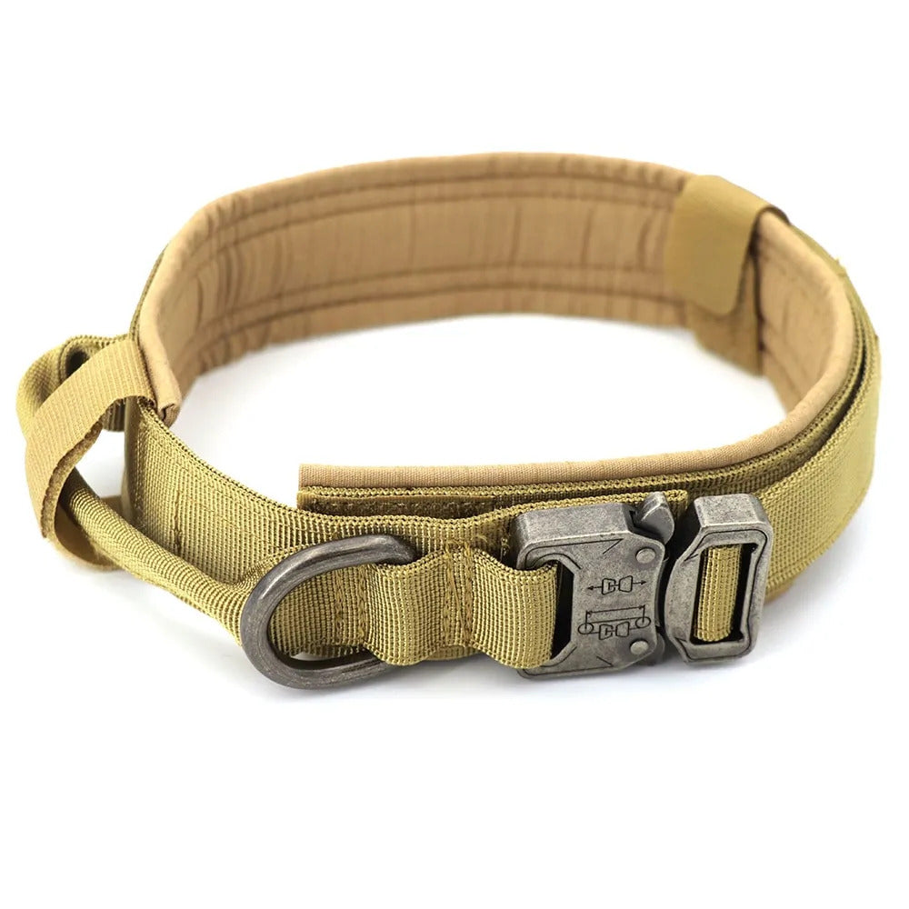 Pat and Pet Emporium | Pet Collars | Dog Collar