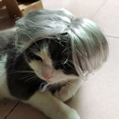 Pat and Pet Emporium | Pet Costumes | Cat Dog Wig Hair Piece