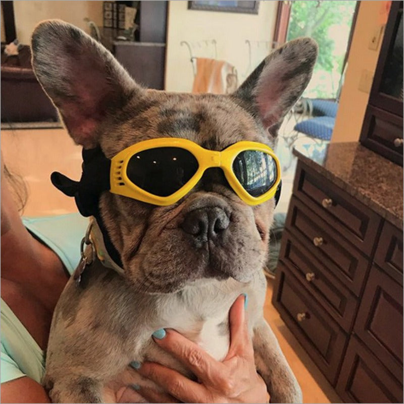 Pat and Pet Emporium | Pet Sunglasses | Cool Dog Sunglasses