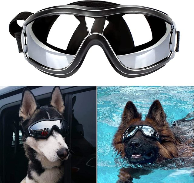 Pat and Pet Emporium | Pet Sunglasses | Dog Goggles Adjustable Strap