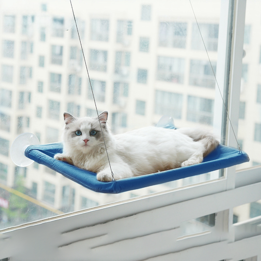 Pat and Pet Emporium | Pet Beds | Suction Cup Cat Hammock