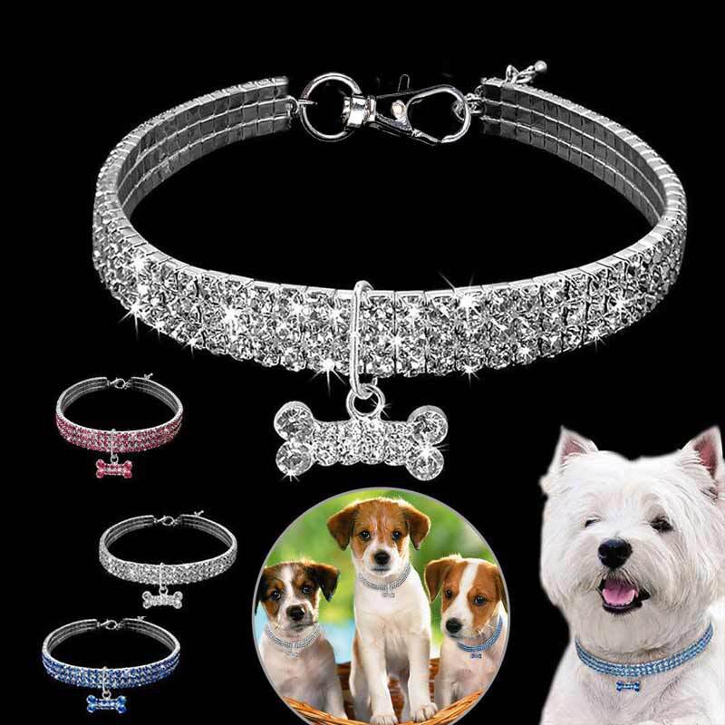 Pat and Pet Emporium | Pet Collars | Shiny Rhinestone Pet Collar