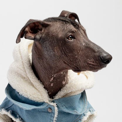 Pat and Pet Emporium | Pet Clothing | Fleece Denim Dog Jacket