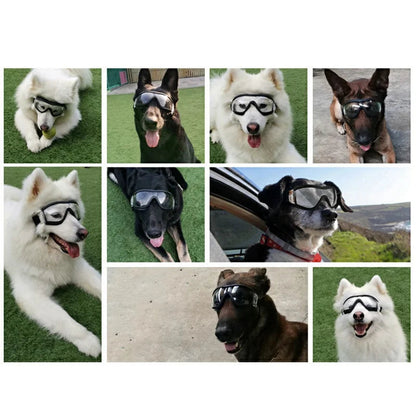 Pat and Pet Emporium | Pet Sunglasses | Pet Fashion Plastic Glasses UV