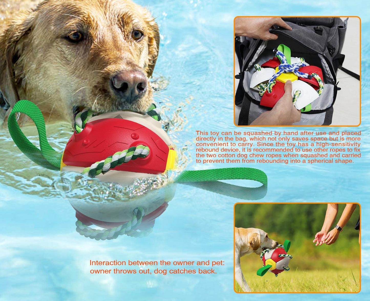 Pat and Pet Emporium | Pet Toys | Dog Interactive Playtime Toy