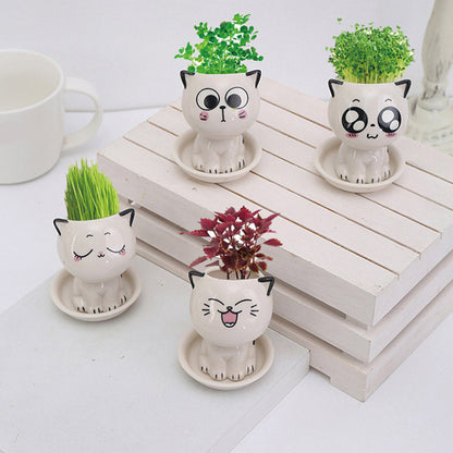 Pat and Pet Emporium | Home Products | Cat Ceramic Flowerpot