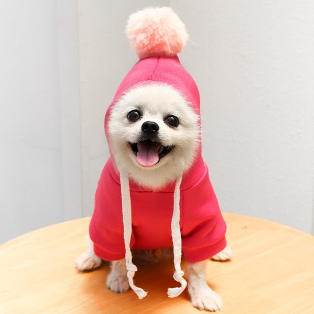 Pat and Pet Emporium | Pet Costumes | Novelty Winter Hoodies