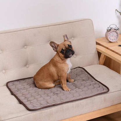 Pat and Pet Emporium | Pet Blankets | Sofa Blanket Cooling Mat