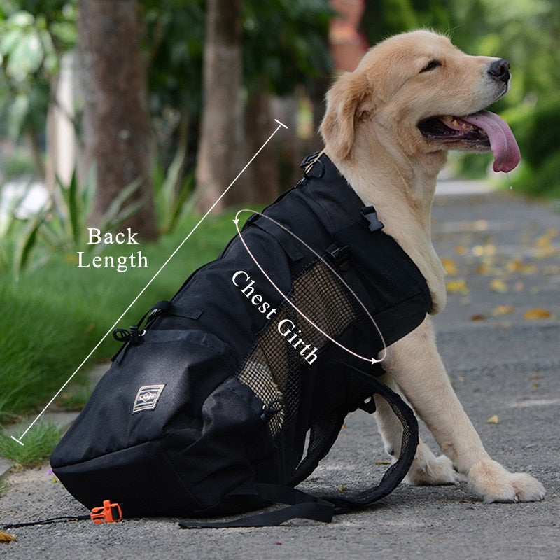 Pat and Pet Emporium | Pet Carriers | Outdoor Pet Backpacks