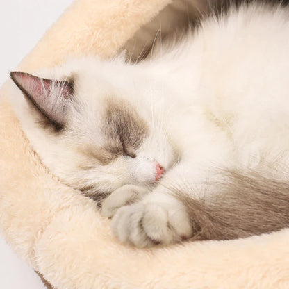 Pat and Pet Emporium | Pet Beds | Soft Cushion Kitty House