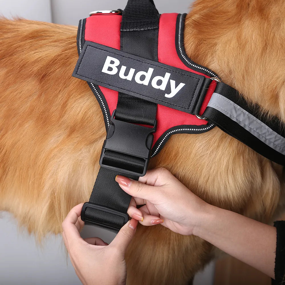 Pat and Pet Emporium | Pet Harnesses | Custom Vest NO PULL