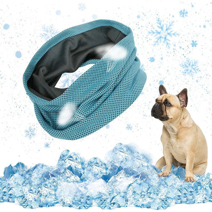 Pat and Pet Emporium | Pet Collars | Dog Instant Cooling Collar