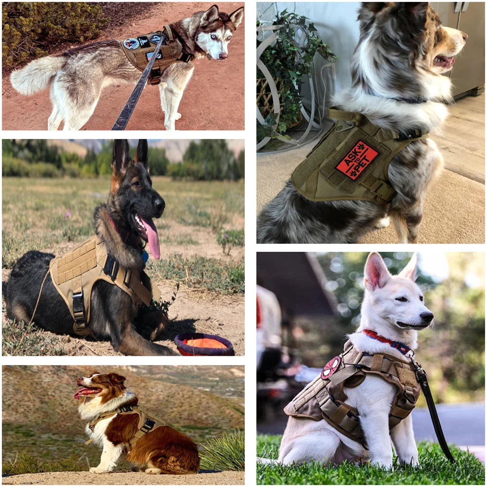 Pat and Pet Emporium | Pet Harnesses | Large Dog Leash Vests