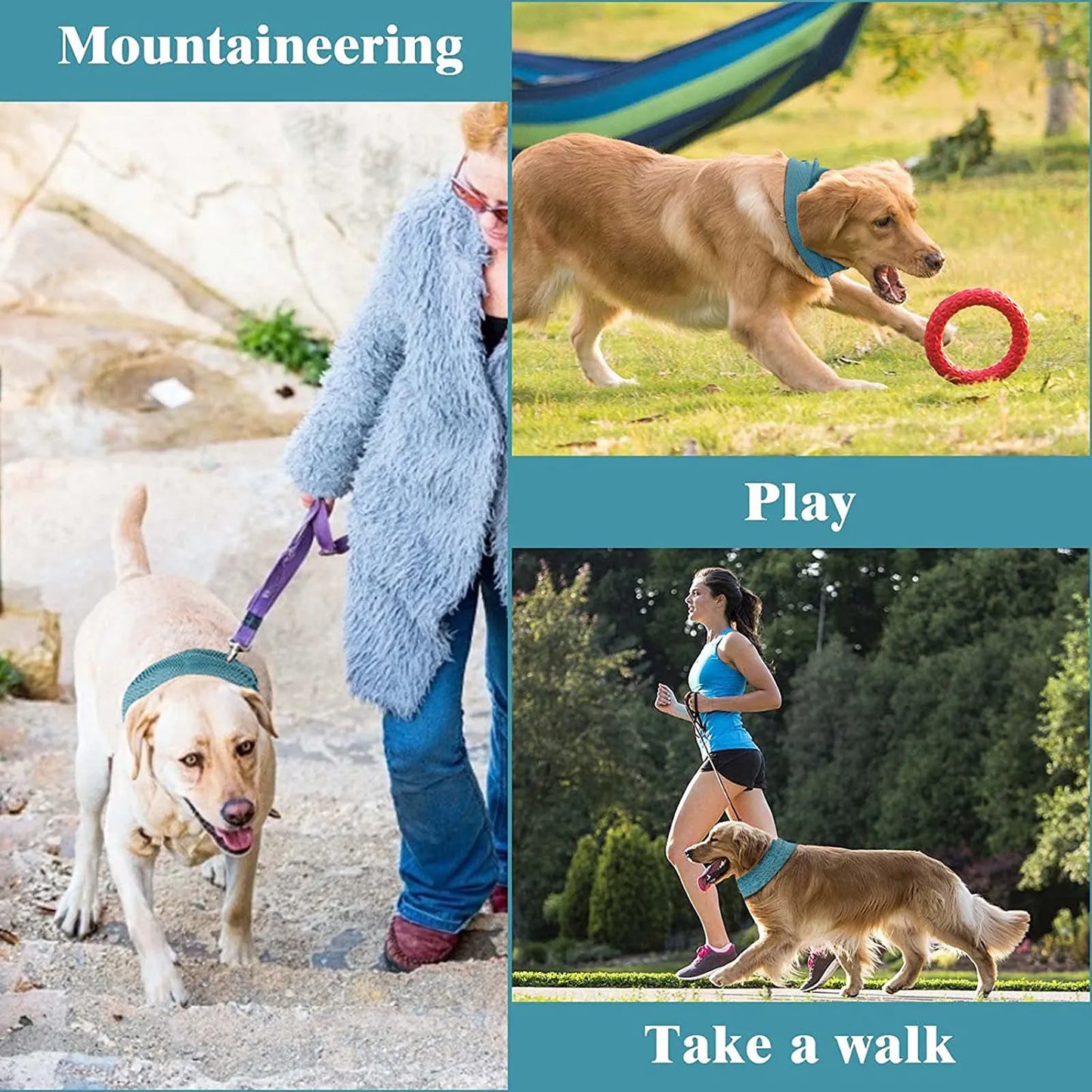 Pat and Pet Emporium | Pet Collars | Dog Instant Cooling Collar