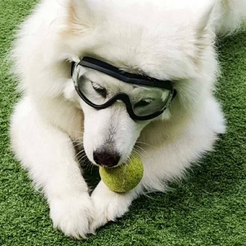 Pat and Pet Emporium | Pet Sunglasses | Pet Fashion Plastic Glasses UV
