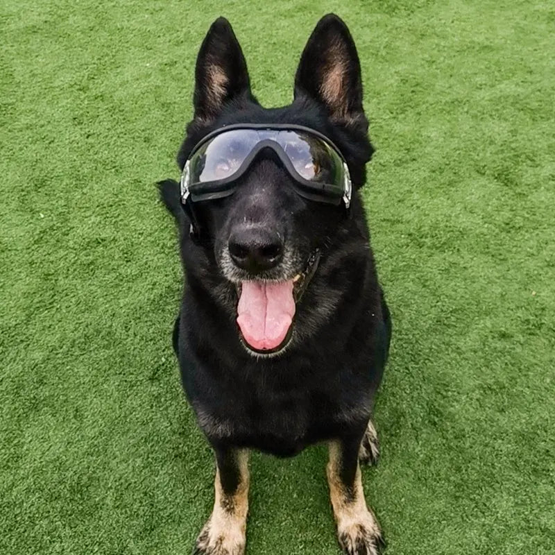 Pat and Pet Emporium | Pet Sunglasses | Pet Fashion Plastic Glasses UV