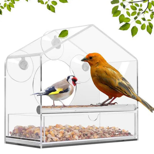 Pat and Pet Emporium | Pet Feeders | Bird Feeder | Clear Box