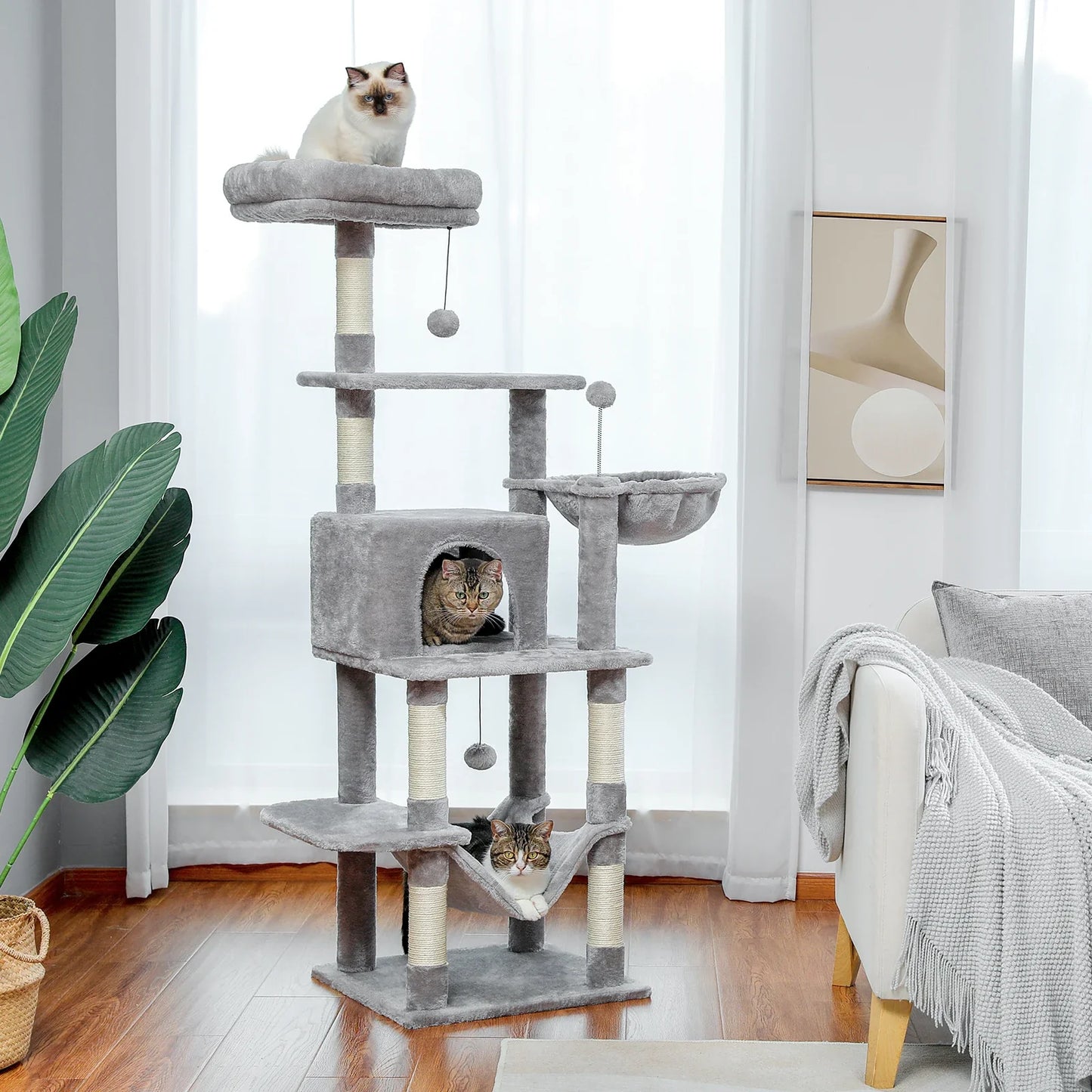 Pat and Pet Emporium | Cat Scratchers | Multi Level Cat Towers