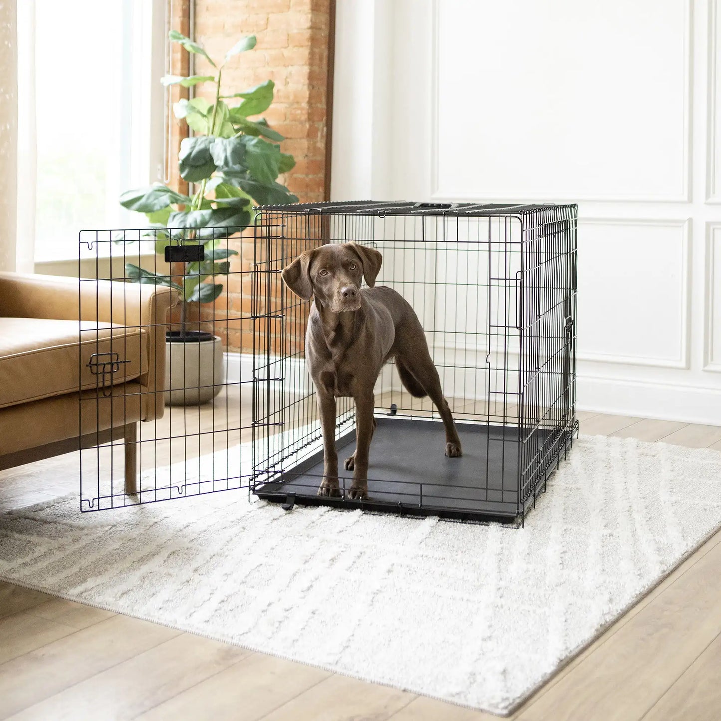 Pat and Pet Emporium | Pet Beds | Large Dog Crate 48" 5 Pcs