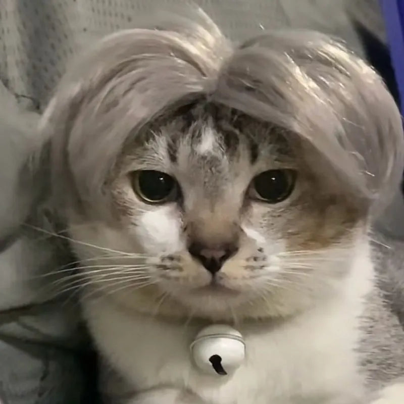 Pat and Pet Emporium | Pet Costumes | Cat Dog Wig Hair Piece