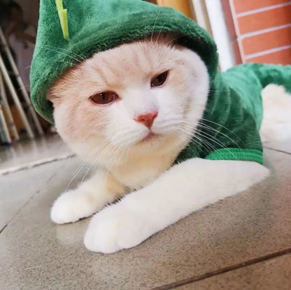 Pat and Pet Emporium | Pet Costumes | Cute Cat Dog Costumes