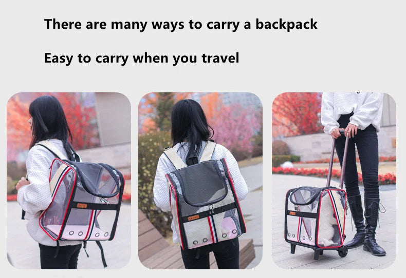 Pat and Pet Emporium | Pet Carriers | Clear Pet Travel Backpack