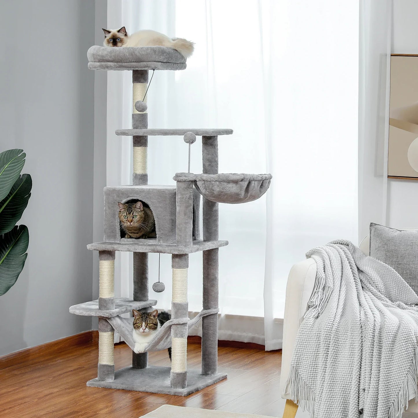 Pat and Pet Emporium | Cat Scratchers | Multi Level Cat Towers