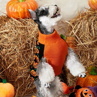 Pat and Pet Emporium | Pet Costumes | Cat Dog Halloween Sweater