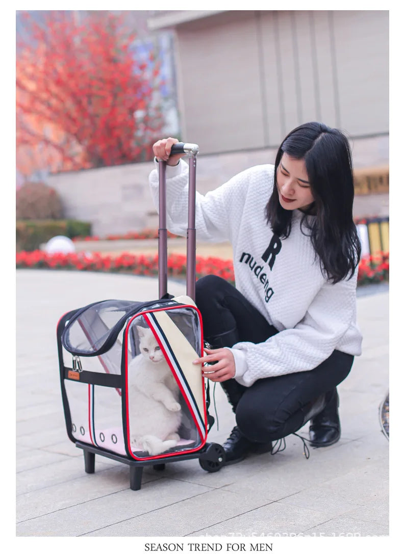 Pat and Pet Emporium | Pet Carriers | Clear Pet Travel Backpack