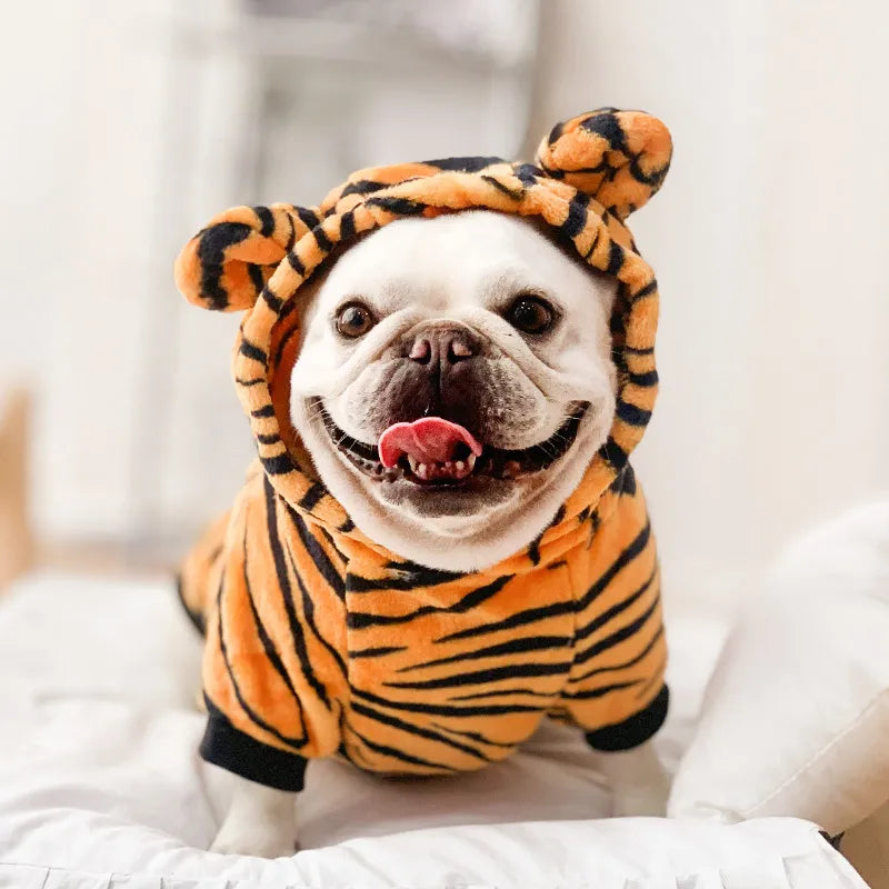 Pat and Pet Emporium | Pet Costumes | Cute Cat Dog Costumes