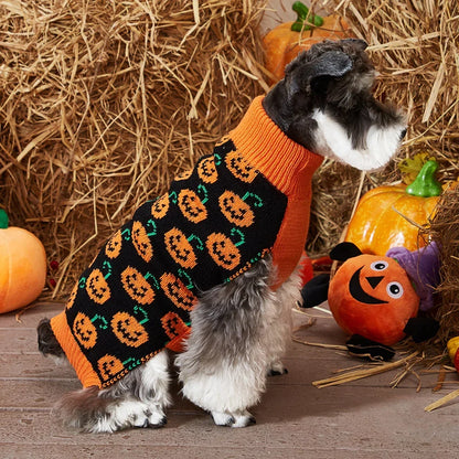 Pat and Pet Emporium | Pet Costumes | Cat Dog Halloween Sweater