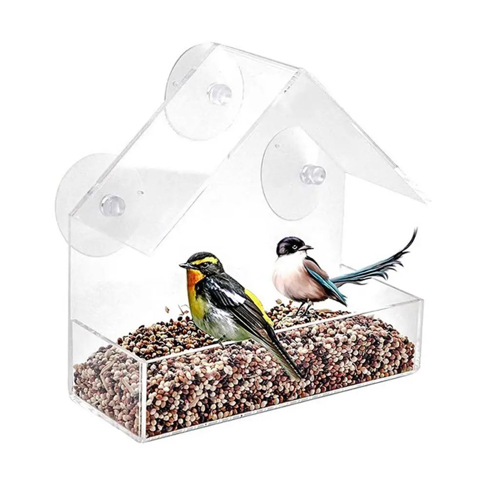 Pat and Pet Emporium | Pet Feeders | Bird Feeder | Clear Box
