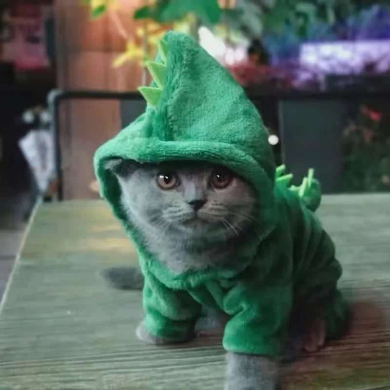 Pat and Pet Emporium | Pet Costumes | Cute Cat Dog Costumes