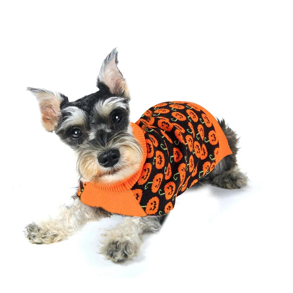 Pat and Pet Emporium | Pet Costumes | Cat Dog Halloween Sweater