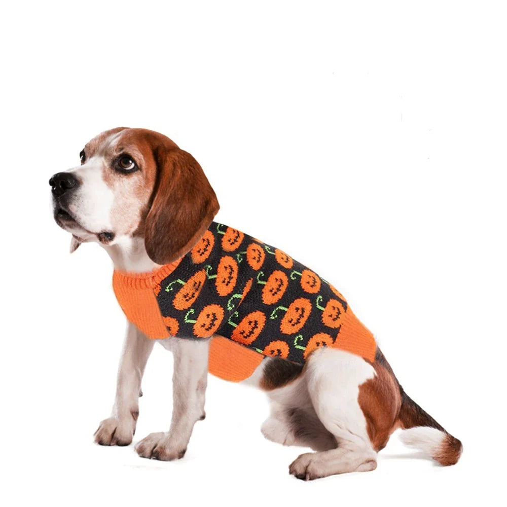 Pat and Pet Emporium | Pet Costumes | Cat Dog Halloween Sweater