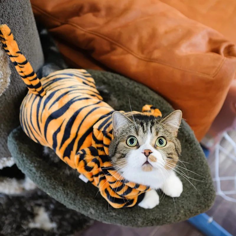 Pat and Pet Emporium | Pet Costumes | Cute Cat Dog Costumes