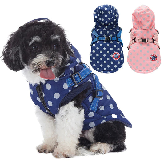 Pat and Pet Emporium | Pet Clothing | Rainproof Hooded Jackets