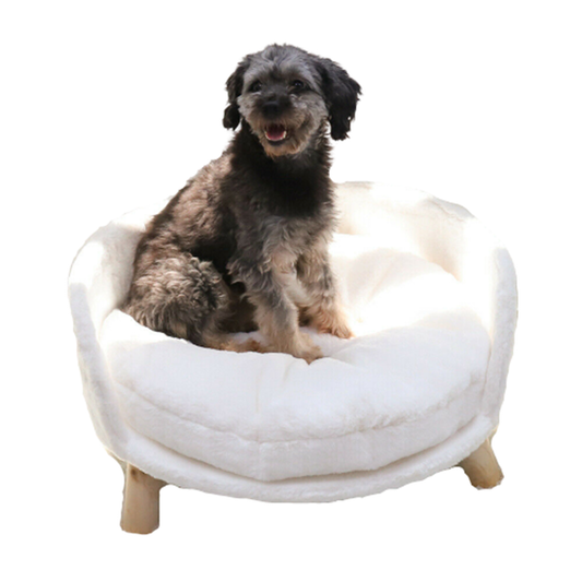 Pat and Pet Emporium | Pet Beds | Plush Small Pet Raised Chair