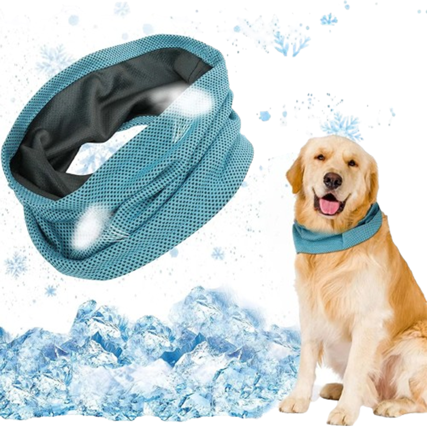 Pat and Pet Emporium | Pet Collars | Dog Instant Cooling Collar