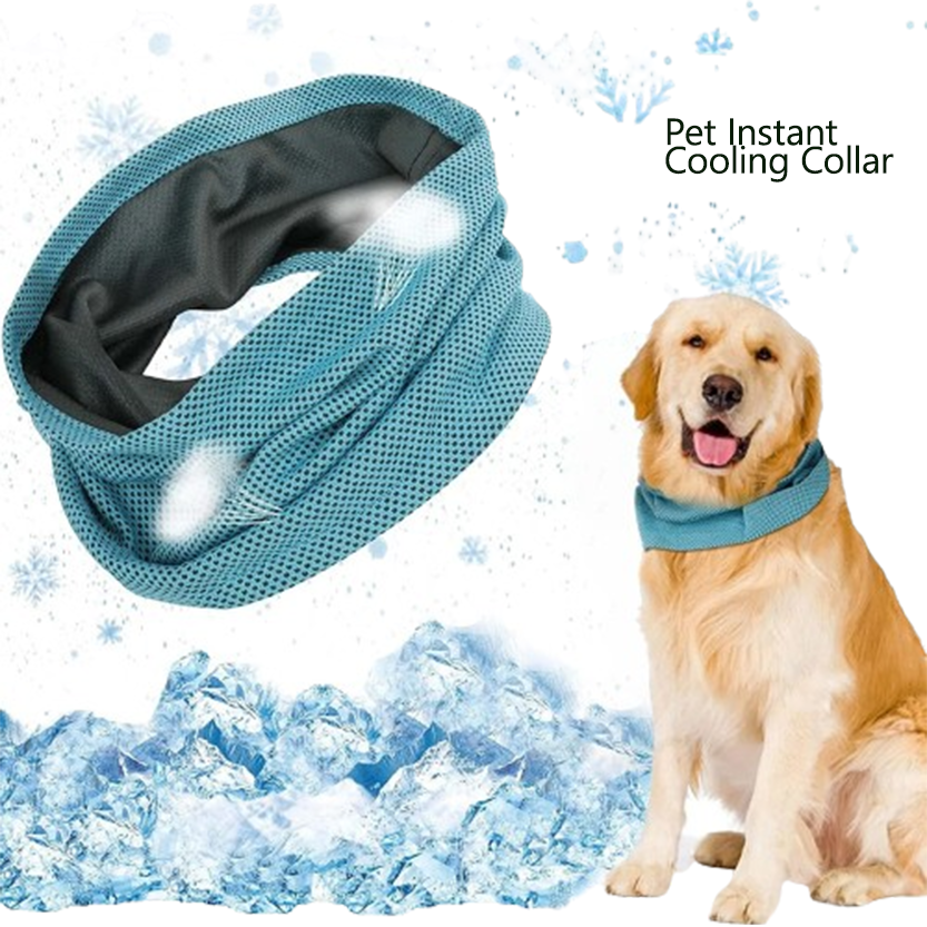 Pat and Pet Emporium | Pet Collars | Dog Instant Cooling Collar