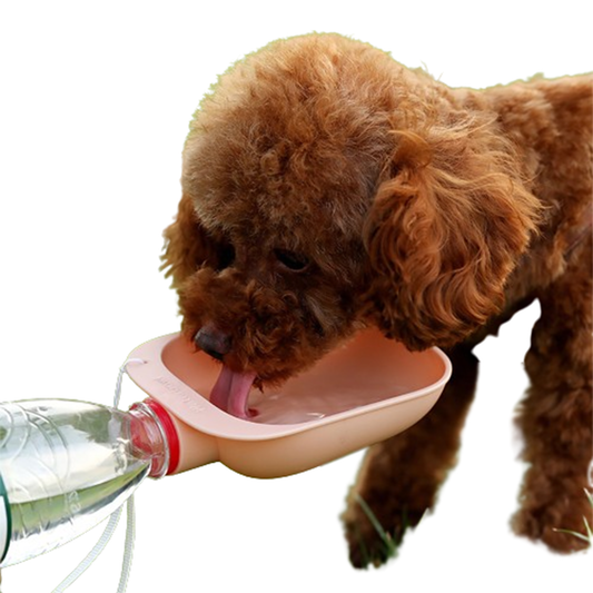 Pat and Pet Emporium | Pet Feeders | Portable Pet Drink Bowl