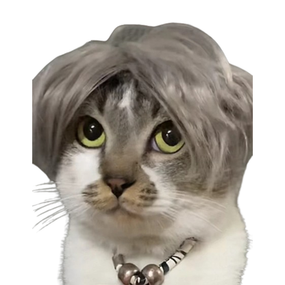 Pat and Pet Emporium | Pet Costumes | Cat Dog Wig Hair Piece