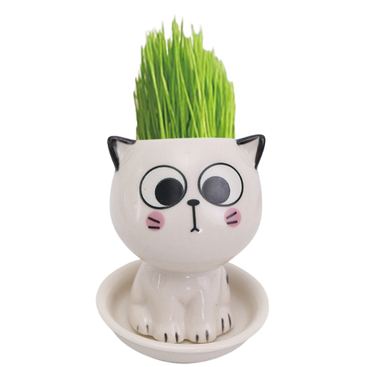 Pat and Pet Emporium | Home Products | Cat Ceramic Flowerpot