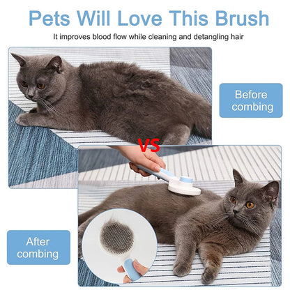 Pat and Pet Emporium | Pet Grooming | Pet Brush