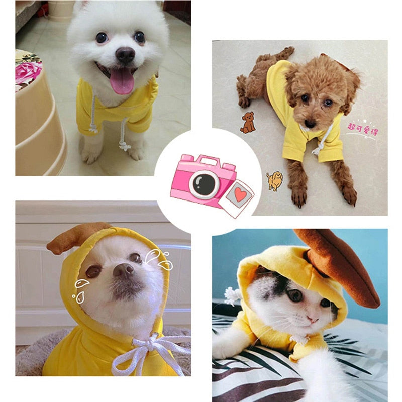 Pat and Pet Emporium | Pet Costumes | Novelty Winter Hoodies